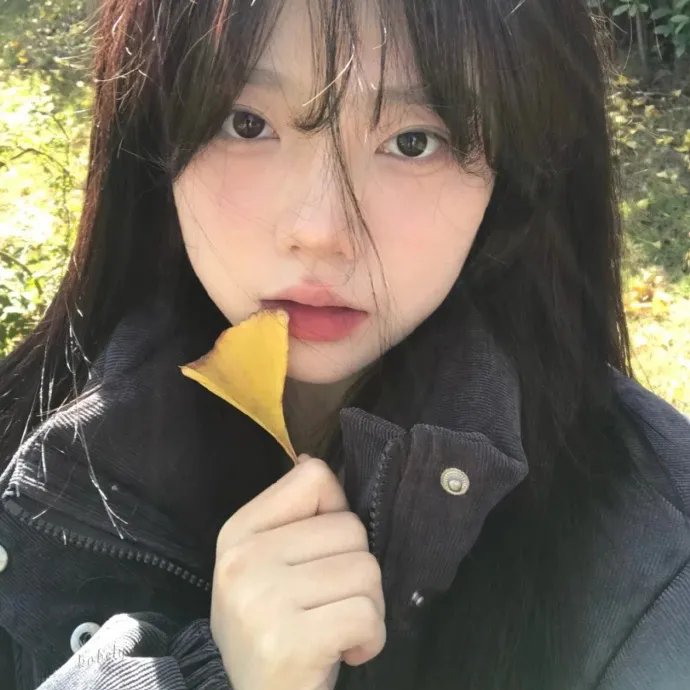 向阳农庄的罗曼史